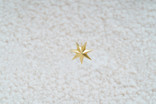 Моносережка «Провідна зоря»