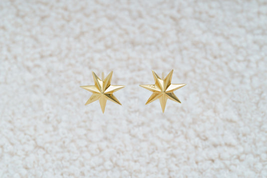 Сережки «Провідна зоря»