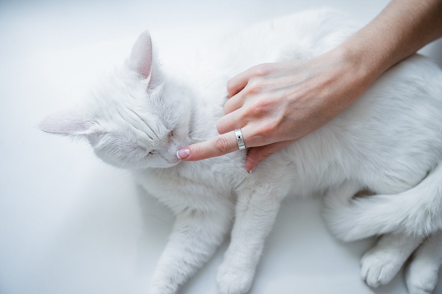 Каблучка «Улюблений носик»