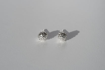 Сережки «Горіх каштану» світлі