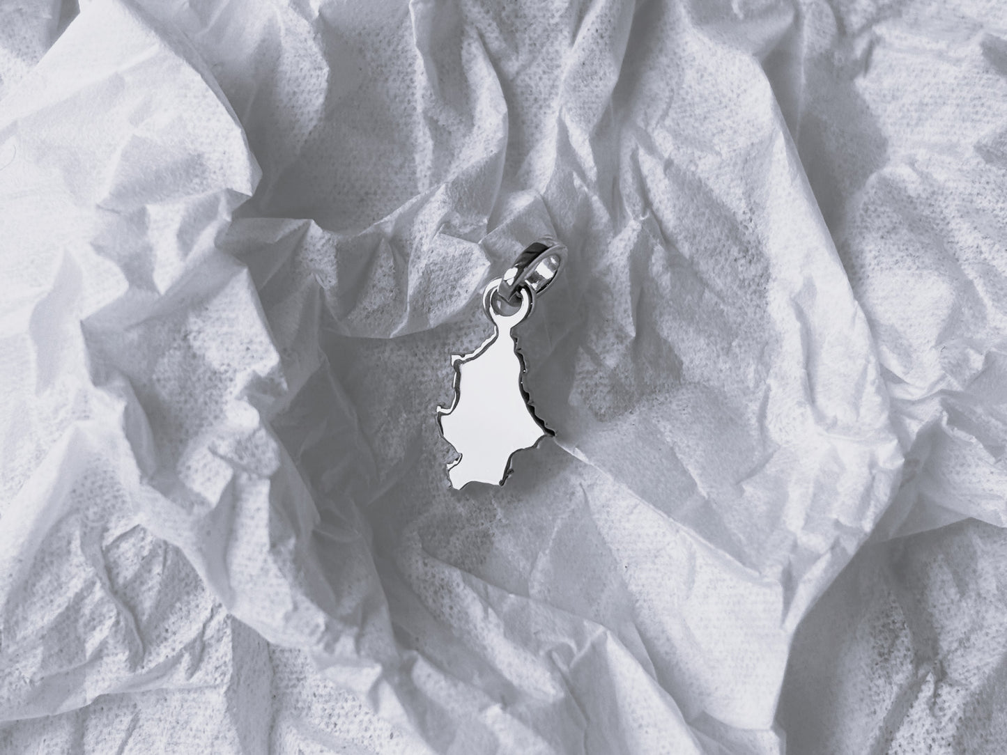 Кулон «Донецька область»