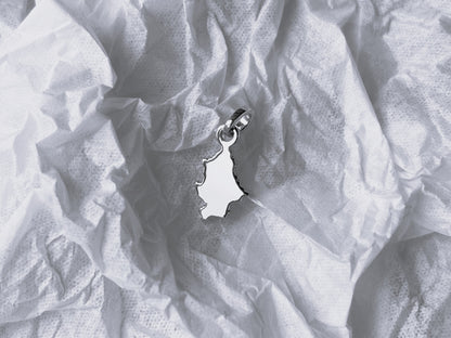 Кулон «Донецька область»